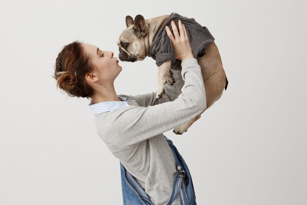 8 Fun Facts You Probably Didn’t Know About French Bulldogs